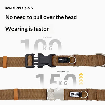 Dog Collar With ID Tag To Prevent Your Dog From Getting Lost